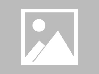 巴西球员连续在德甲比赛中取得进球